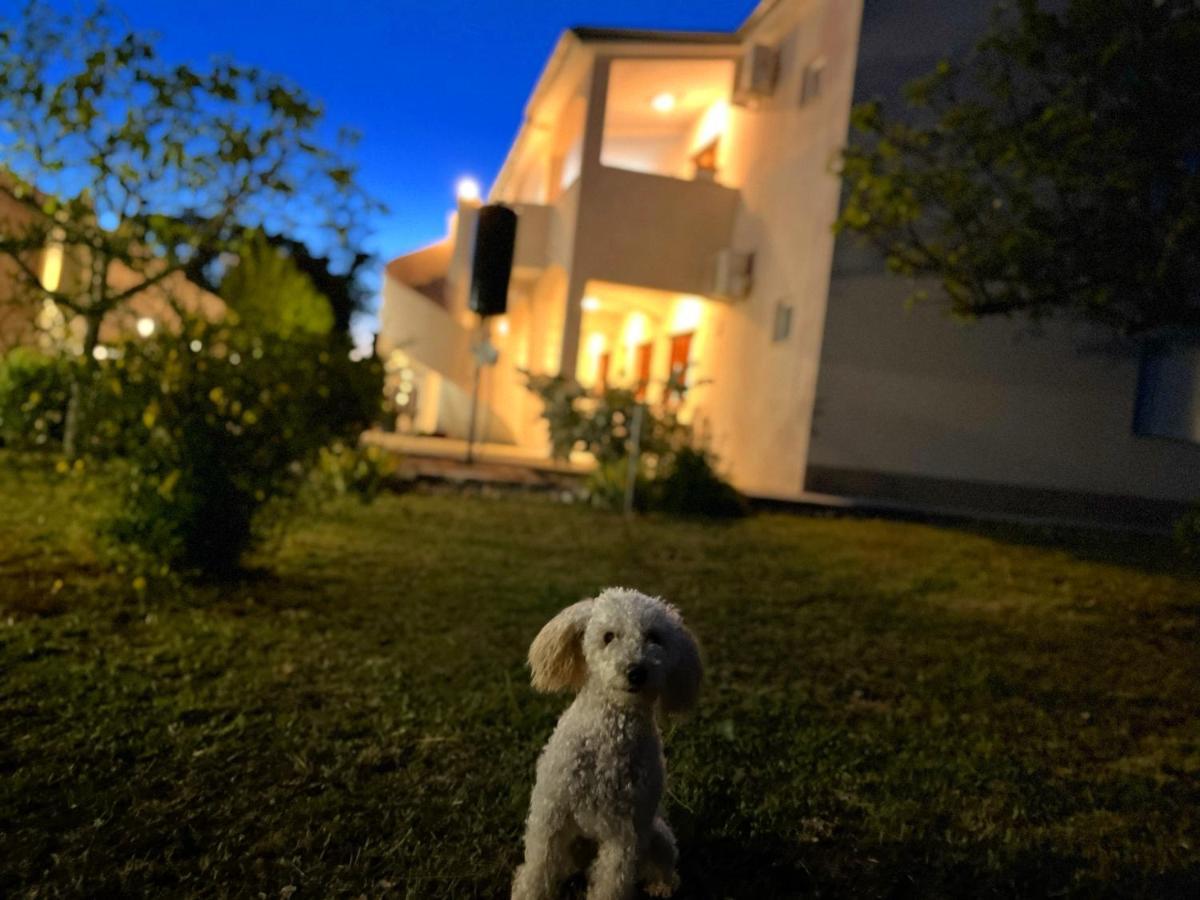 Apartments Fortuna Biograd Na Moru Luaran gambar